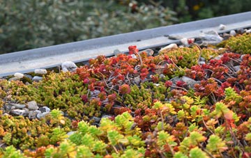 the cost of Wharncliffe Side green roof installation