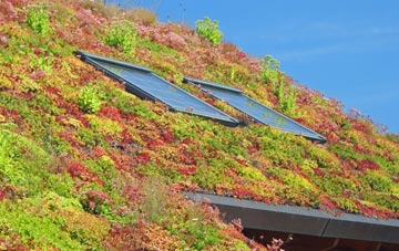 Wharncliffe Side living roof systems